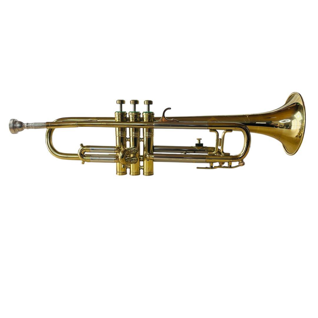 Hüttl ヒュッテル HUTTL LINE 800 トランペット ピストン動確