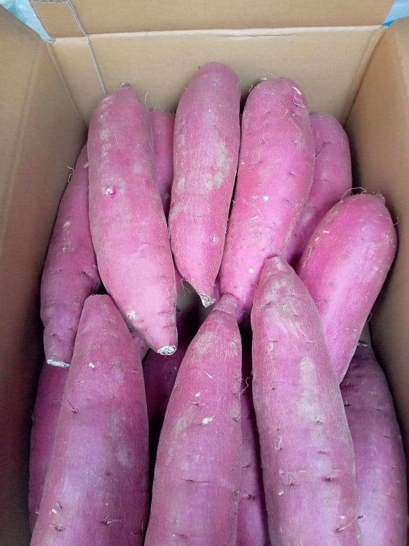 玉ねぎL13kg程度＆新潟産里芋5kg＆にんにく1kg＆シルクスイート10kg