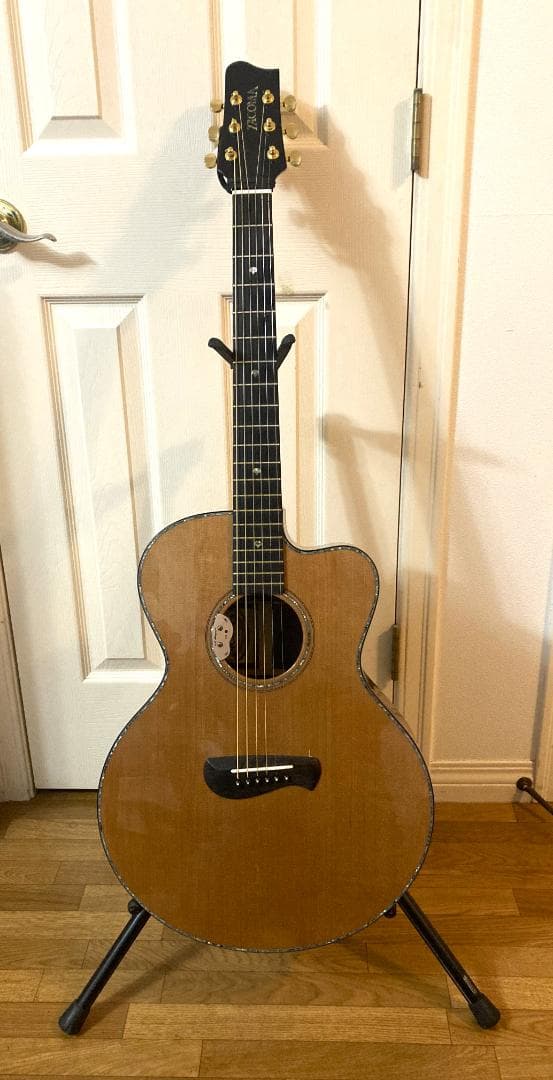 TACOMA ECR38C L.R.Baggs Dual Source　Char