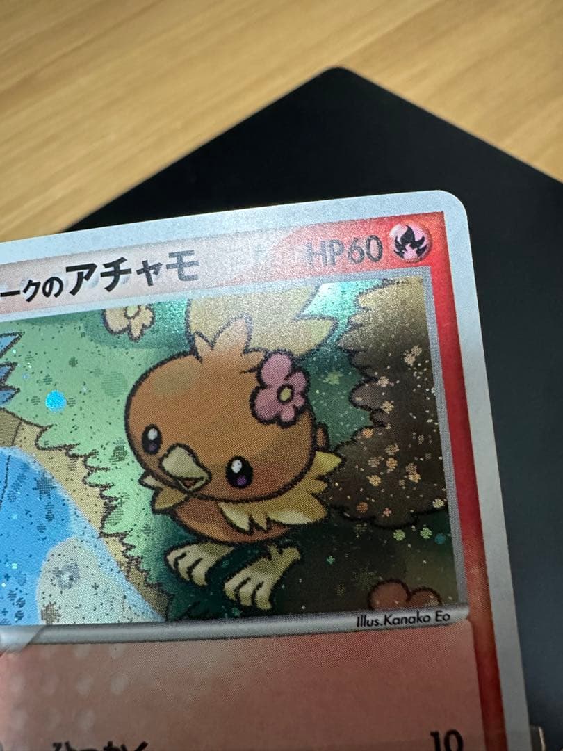 ポケパークのアチャモ　プレミアムファイル