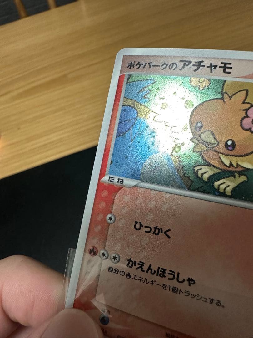 ポケパークのアチャモ　プレミアムファイル