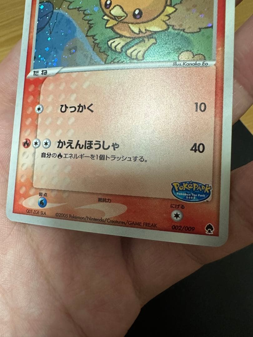 ポケパークのアチャモ　プレミアムファイル