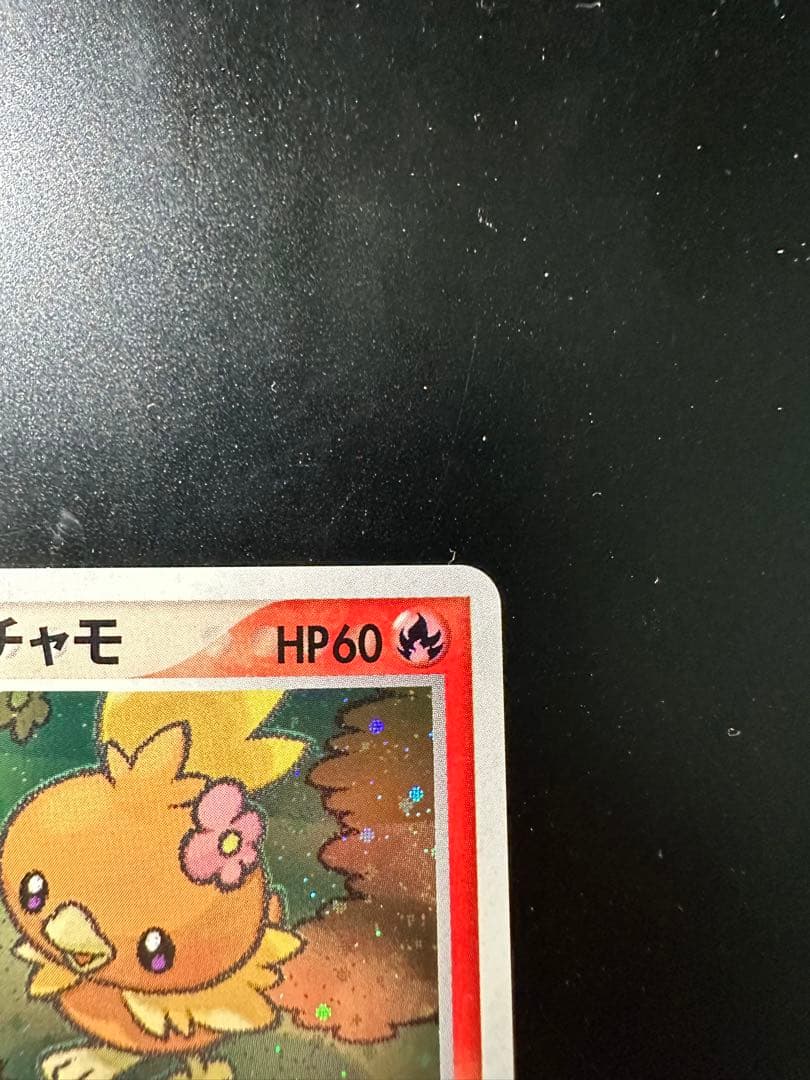 ポケパークのアチャモ　プレミアムファイル