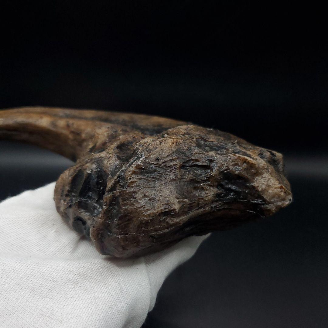 アロサウルス 爪 化石 レプリカ 約176.63mm  arr16