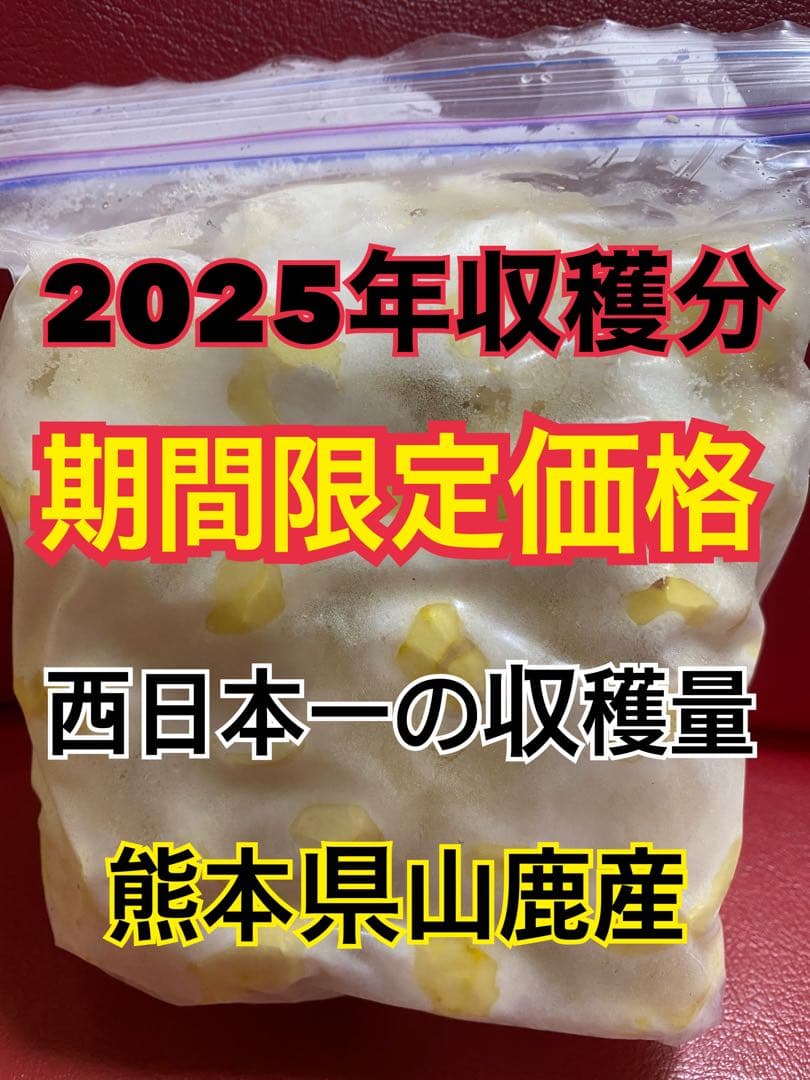 ラムイヴさま専用　2.5キロ　むき栗