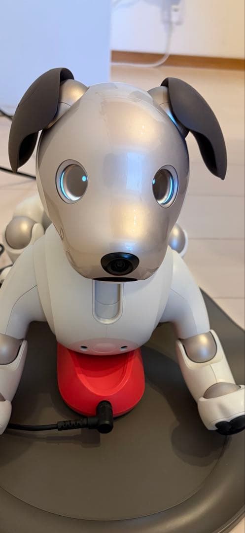 aibo ロボット犬 付属品多数おもちゃ&ぬいぐるみ &首輪バッジ等！専用箱付き