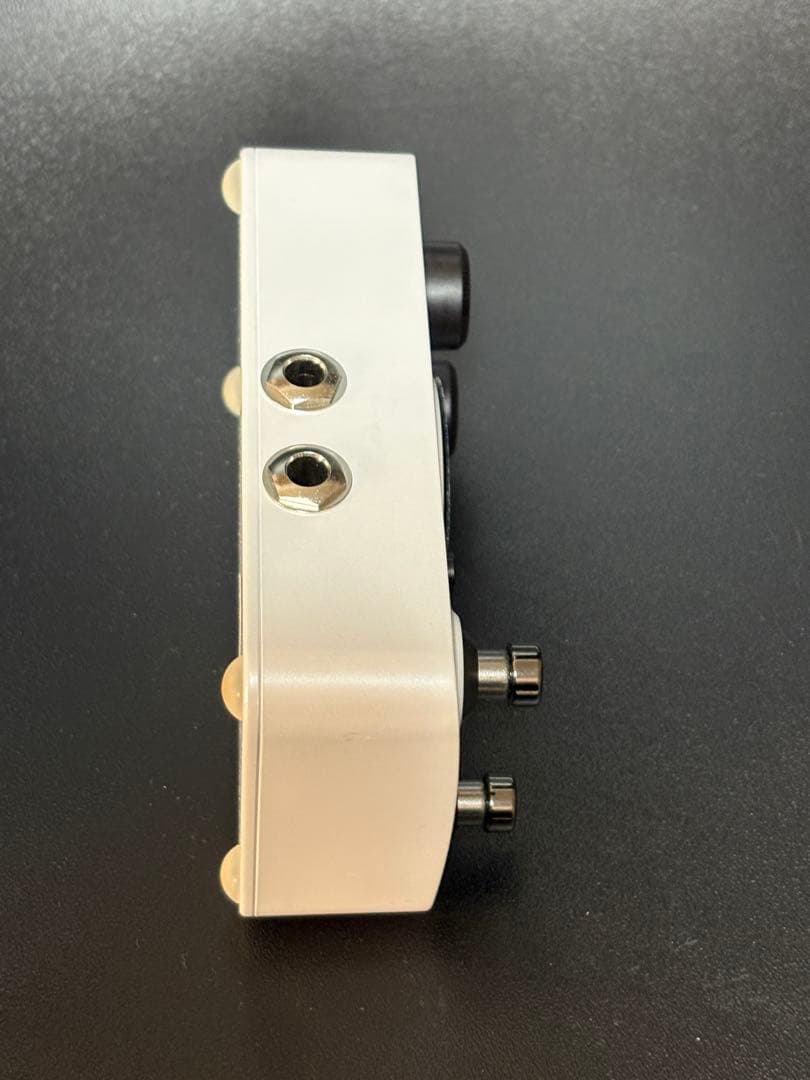 MOOER GL100 ルーパー