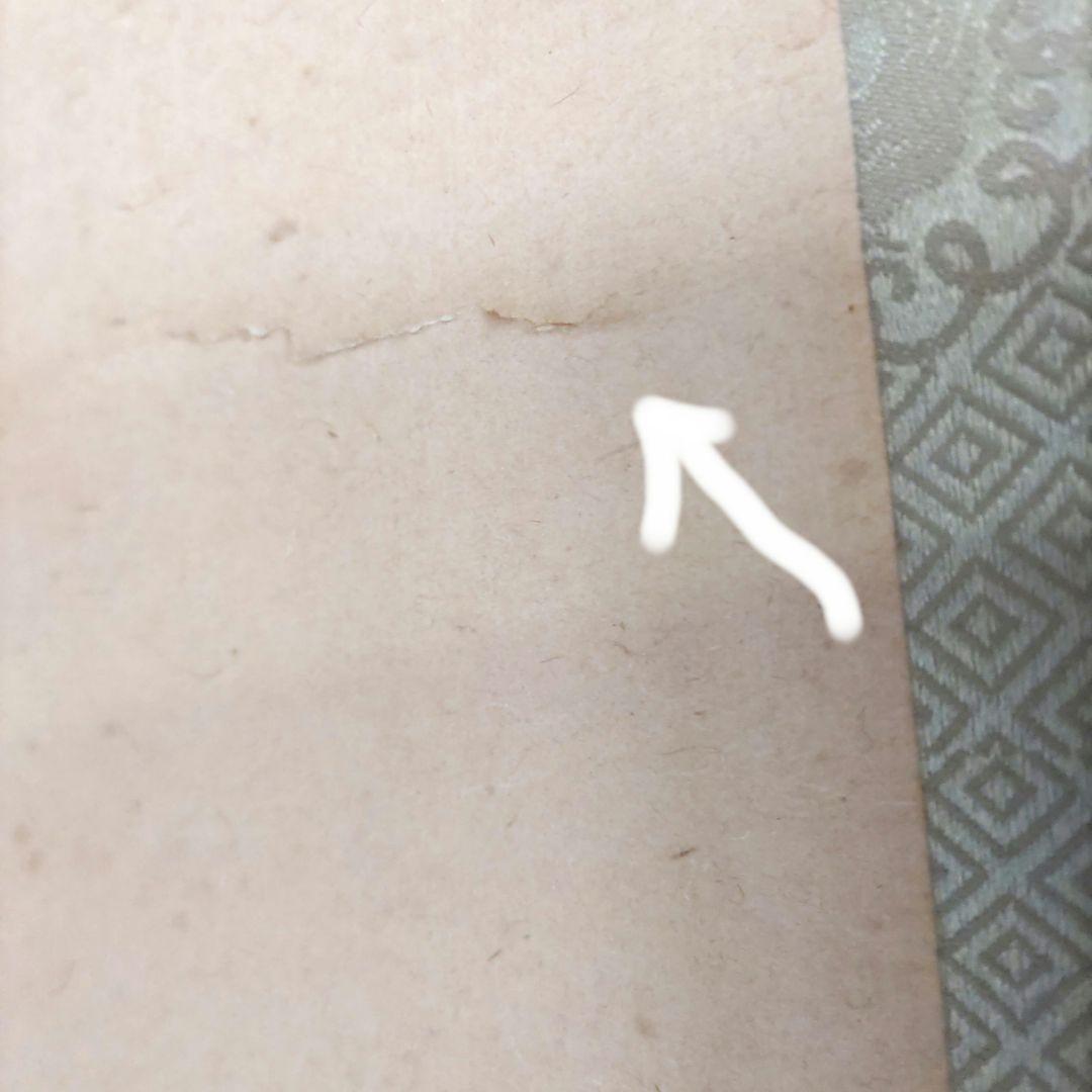 大江良起　美人画掛軸 H55