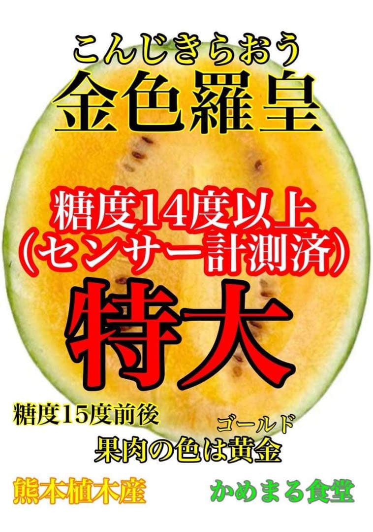 衝撃のサイズと甘さ、金色羅皇6L2玉セット24k前後箱込　かめまる食堂
