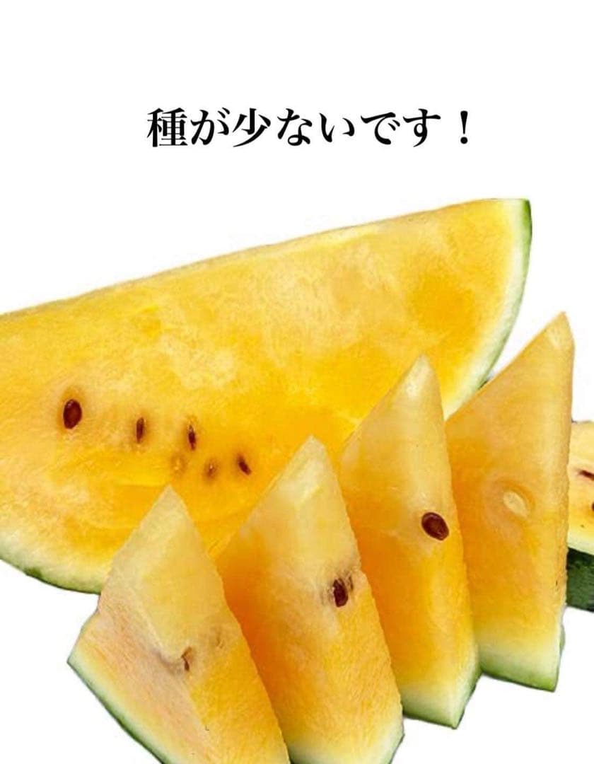 衝撃のサイズと甘さ、金色羅皇6L2玉セット24k前後箱込　かめまる食堂