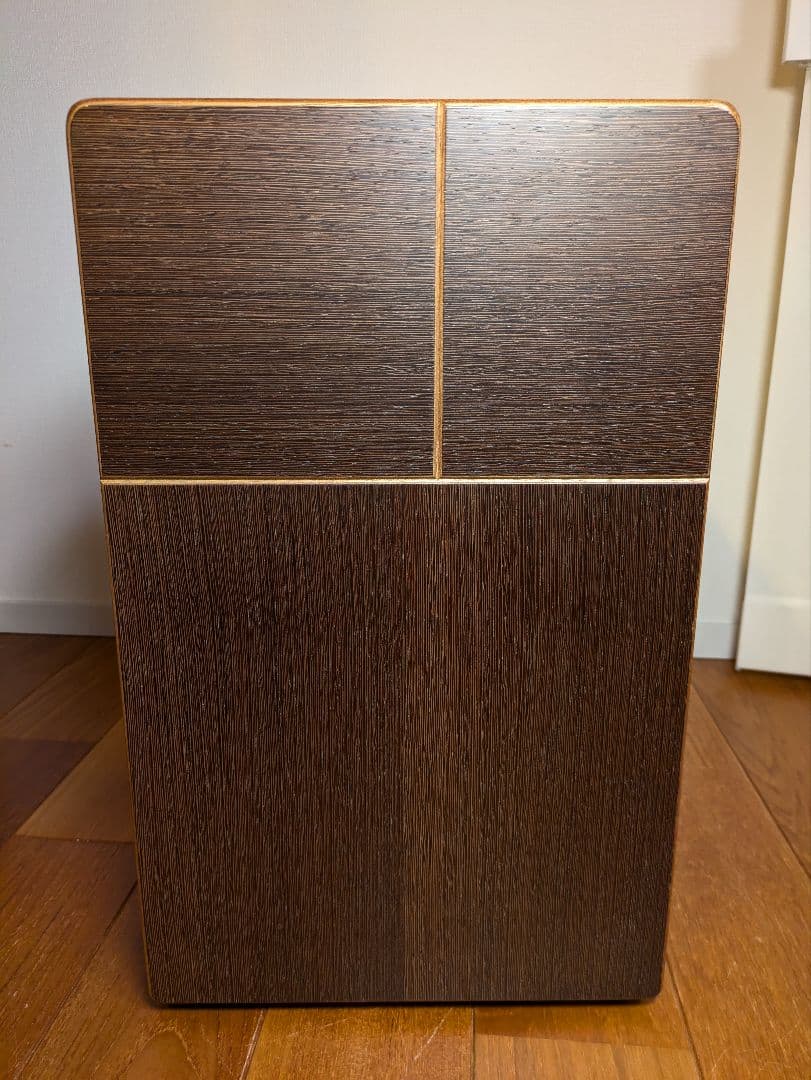 濱崎商会 Sentido リバーシブルカホン 現状渡し