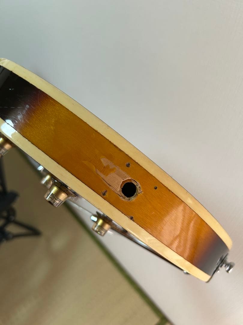 Guyatone SG-28T ジャパンヴィンテージ