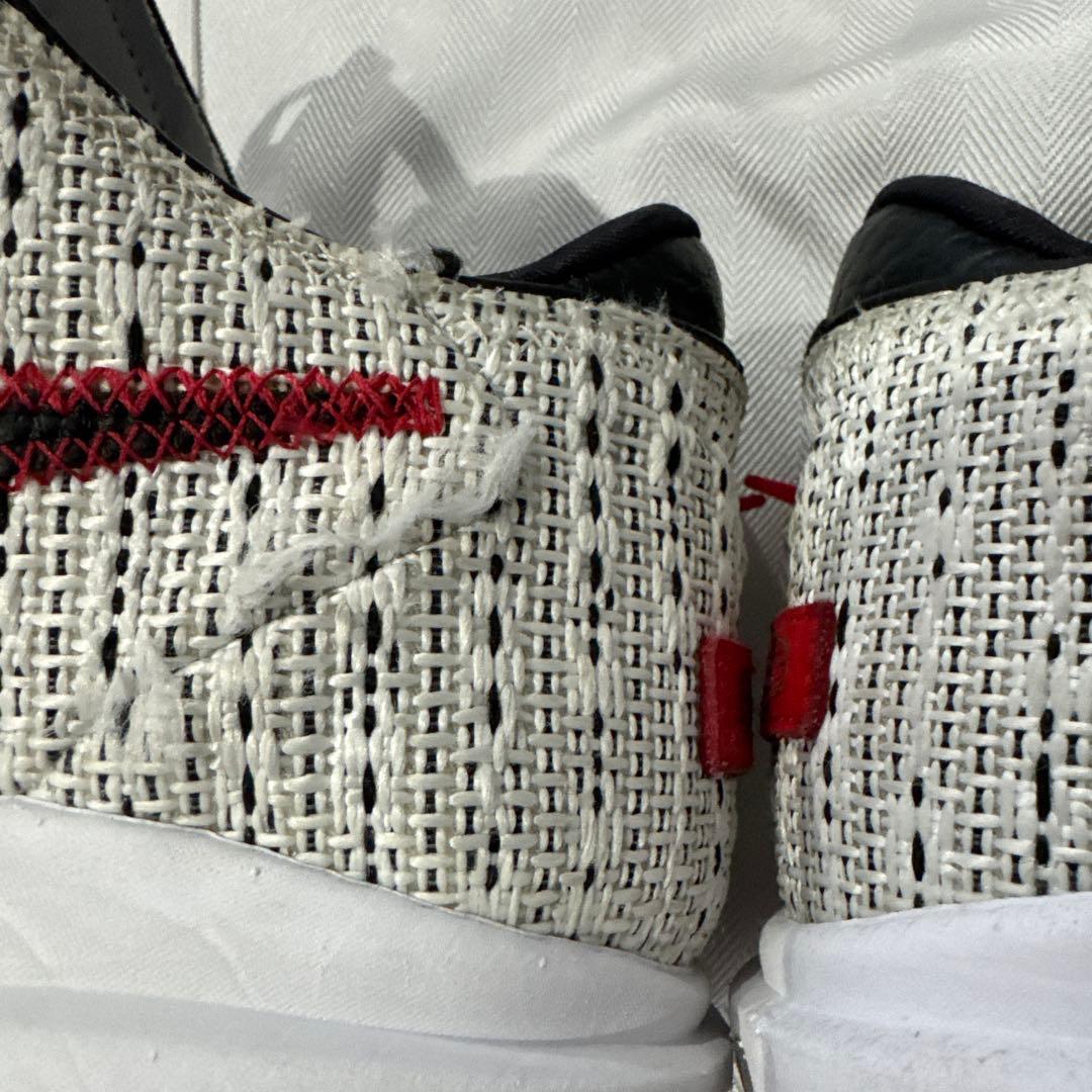 NIKE LEBRON 20 EP サイズ30cm