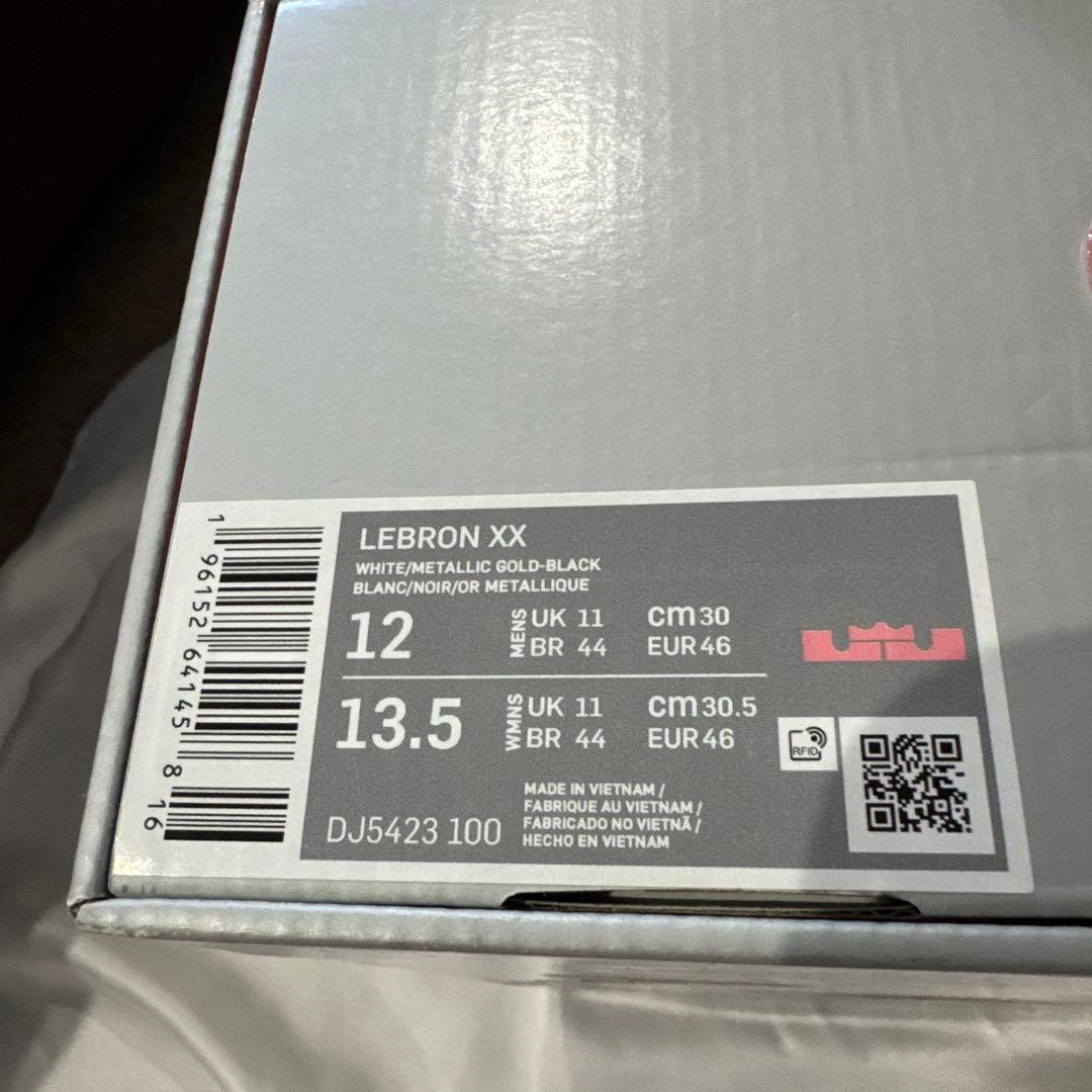 NIKE LEBRON 20 EP サイズ30cm