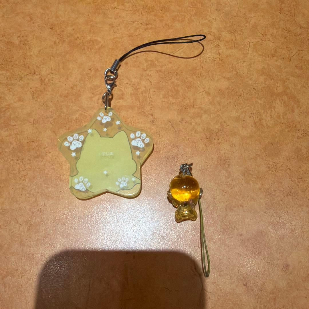 猫に転生したおじさん「パクパク」と金運キーホルダー