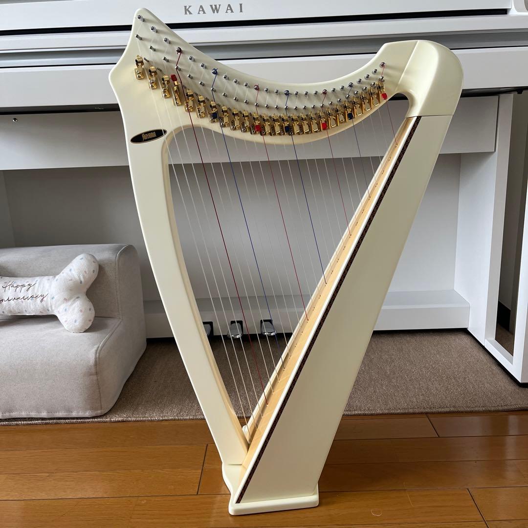 青山ハープ　サウルハープ　25S ホワイト　専用ケース付き　25弦　楽譜台も
