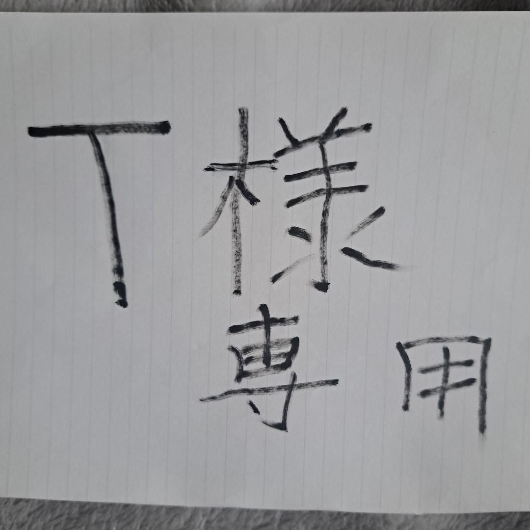 ソフテック ソフトボード 6'6 デッキカバー付