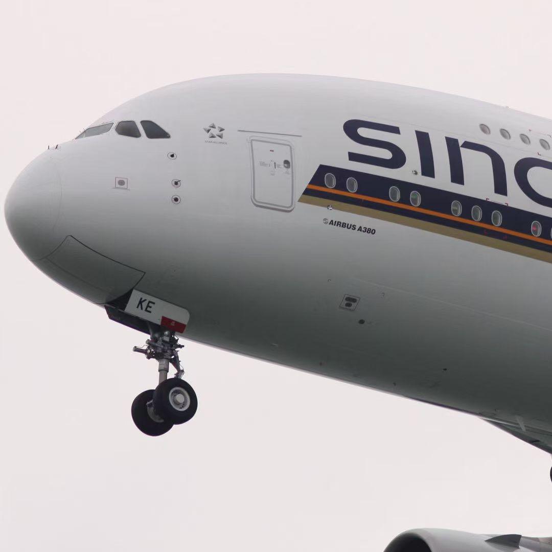 シンガポール航空 Aviationtag A380-800
