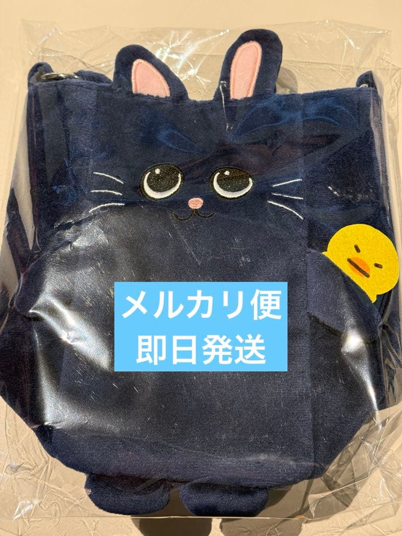 RIIZE ウォンビン FANLIGHTバッグ うちわホルダー＆ストラップセット