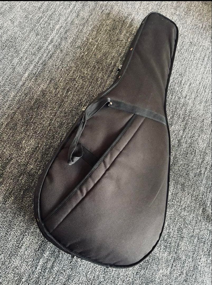 P.U、セミハードケース付き　RECORDINGKING RO-G6 used