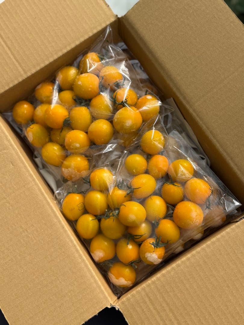 冷凍トマト ミニトマト イエローミミ 業務用 加工用 5kg