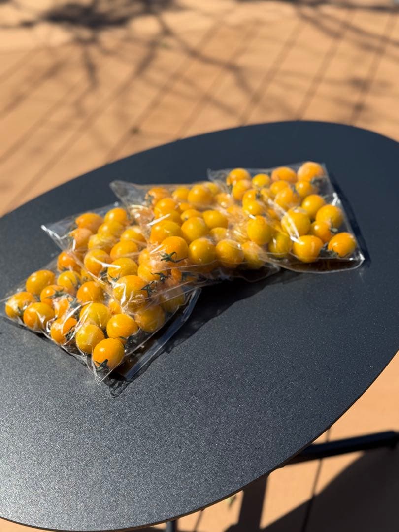 冷凍トマト ミニトマト イエローミミ 業務用 加工用 5kg