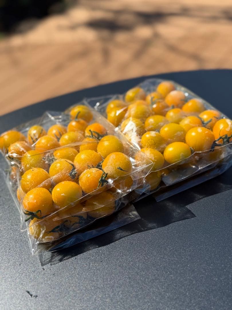 冷凍トマト ミニトマト イエローミミ 業務用 加工用 5kg