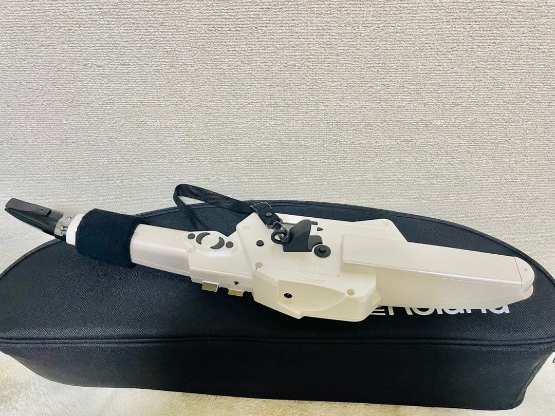 エアロフォンAE-10 ハードケース＆教本（CDなし）付き