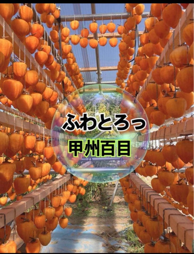 mai様★Xmasセール★甲州百目柿干し柿★1号大箱　20個入り✖️2セット