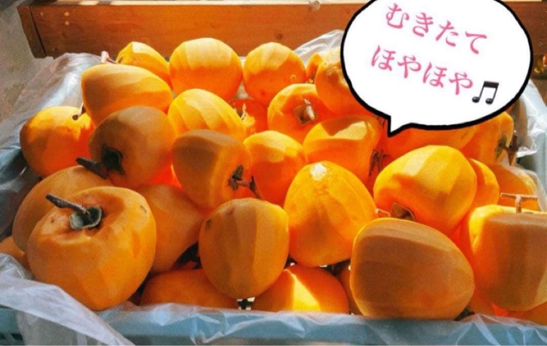 mai様★Xmasセール★甲州百目柿干し柿★1号大箱　20個入り✖️2セット