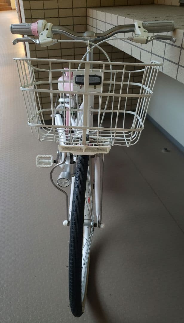 BRIDGESTONE Wild Berry 22\"子供用 【室内保管・直渡し】