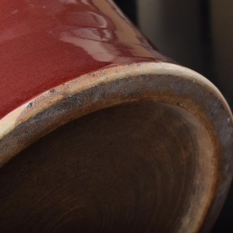 中国　缸豆紅釉　龍文瓶　梅瓶　M　7313A