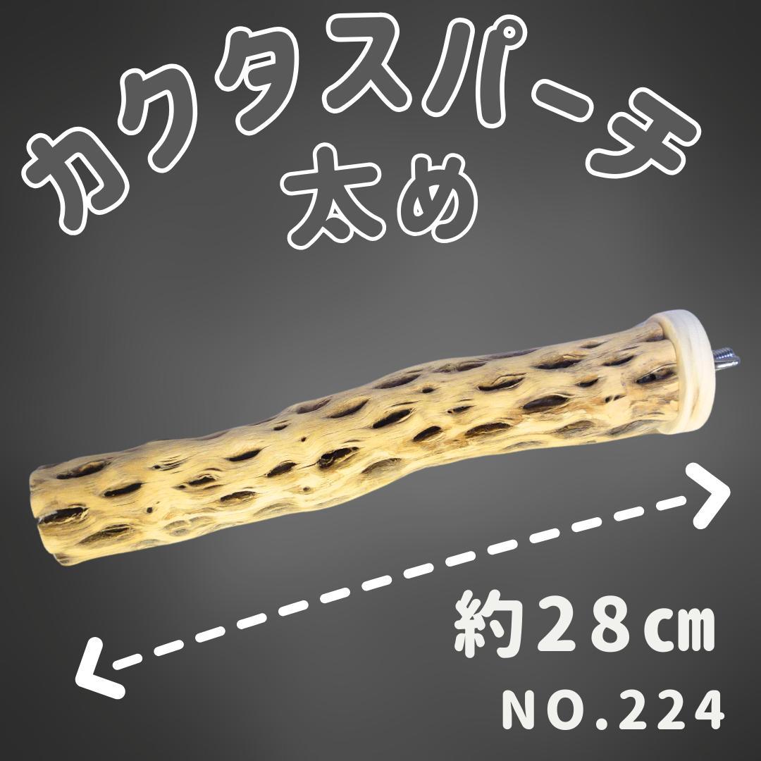 maona　鳥用品　止まり木　カクタス　スケルトン　パーチ　2本おまとめ