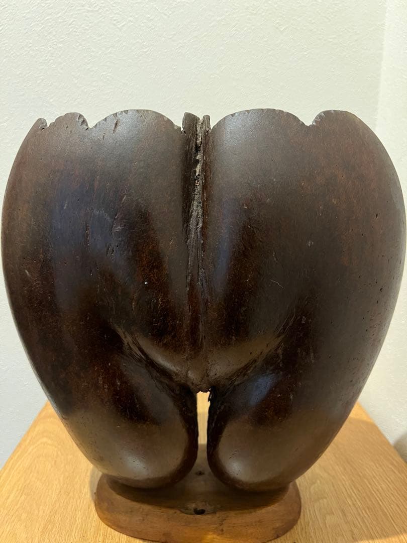 フタゴヤシの置きもの