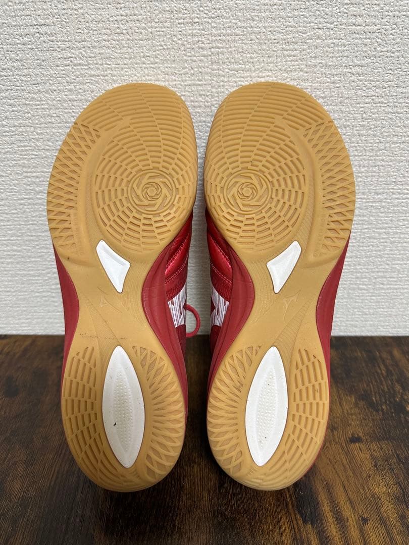 モレリアネオ　SALA β JAPAN IN レッド