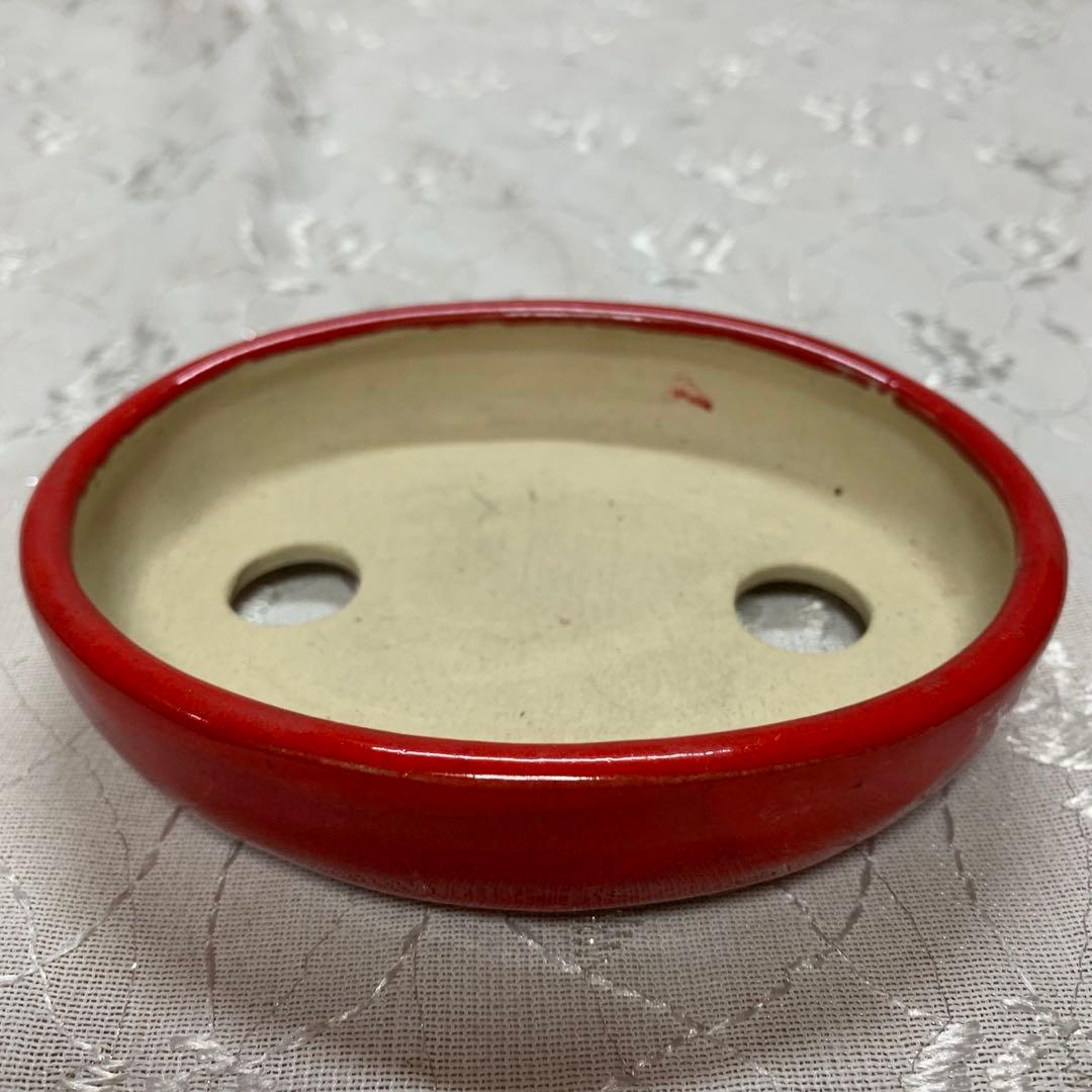 燿山　楕円　赤　盆栽鉢