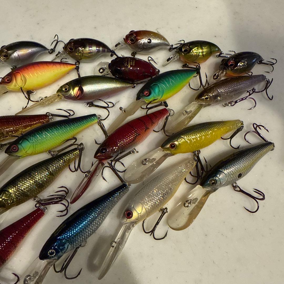 メガバス　アサイラム　ルアー75個