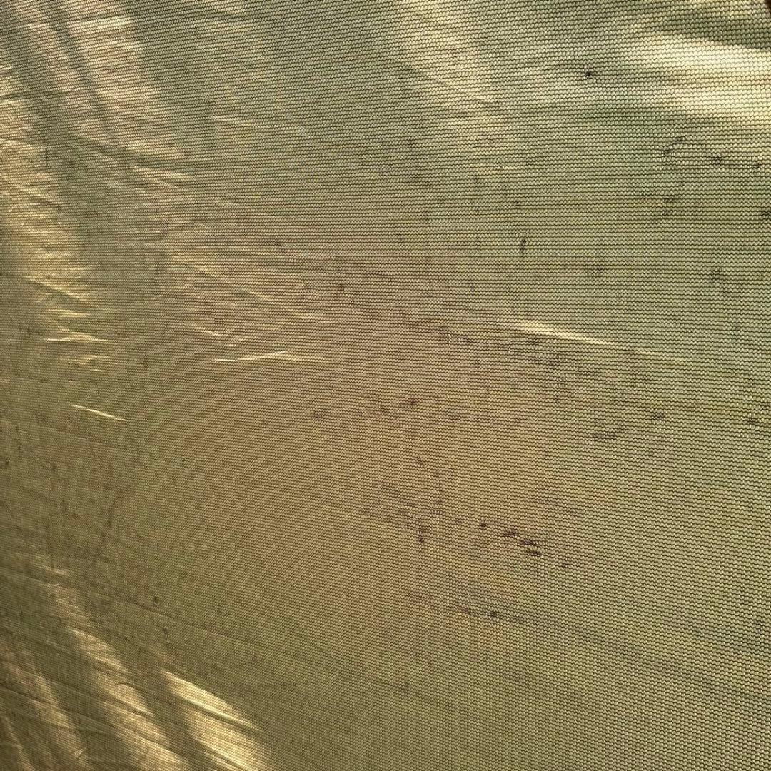 ogawa(オガワ) ドームシェルター ラナ