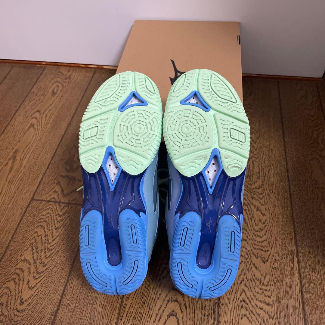 ウエーブダイバースシューズ24.5センチ