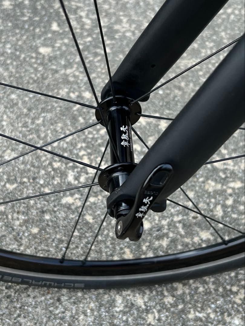 (ともさーもん様)ターン ternサージュ surge 韋駄天 シュワルベワン