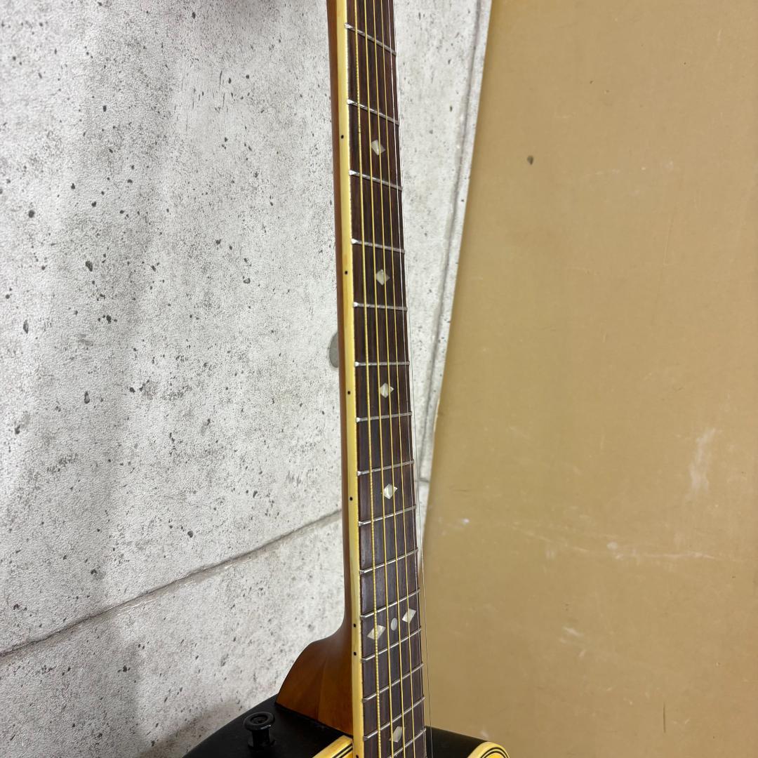 Aria エレアコ AMB-35 N