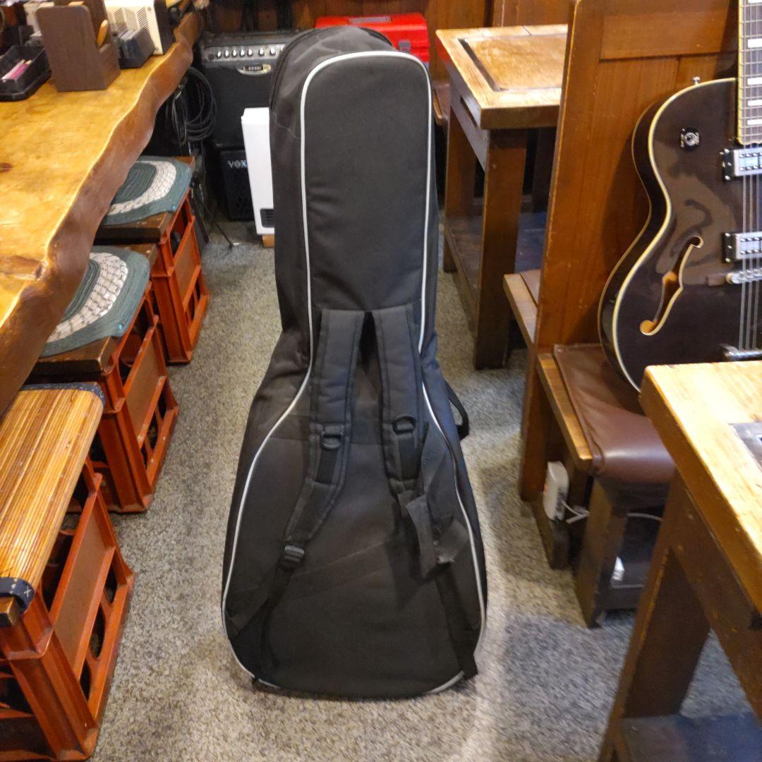 Epiphone SWINGSTAR (管理イキ)