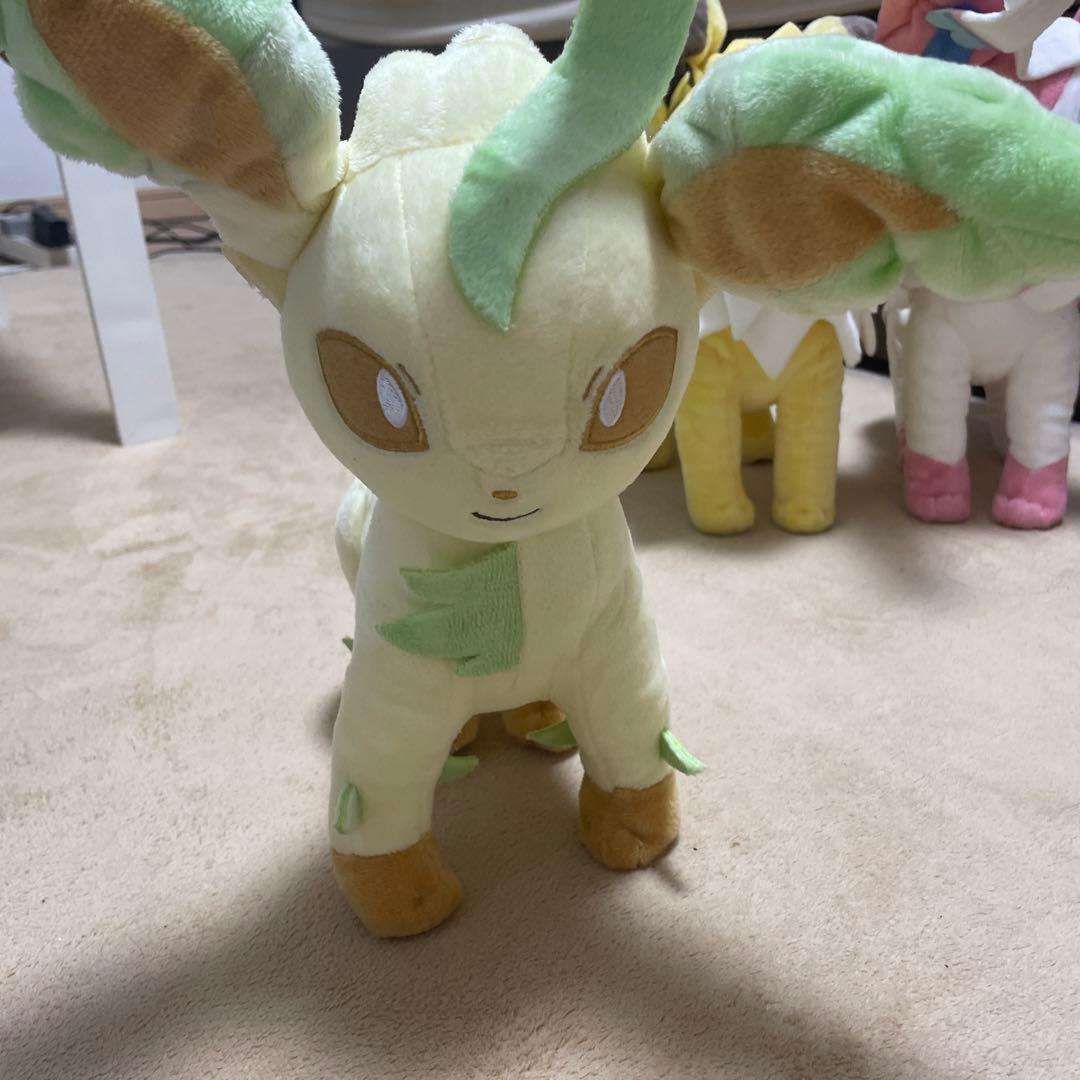 ポケモン ぬいぐるみ まとめ売り ブイズ イーブイデデンネ ポンチョピカチュウ