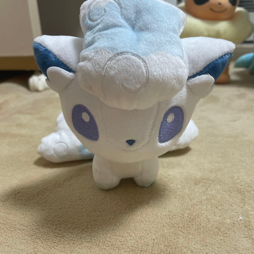 ポケモン ぬいぐるみ まとめ売り ブイズ イーブイデデンネ ポンチョピカチュウ