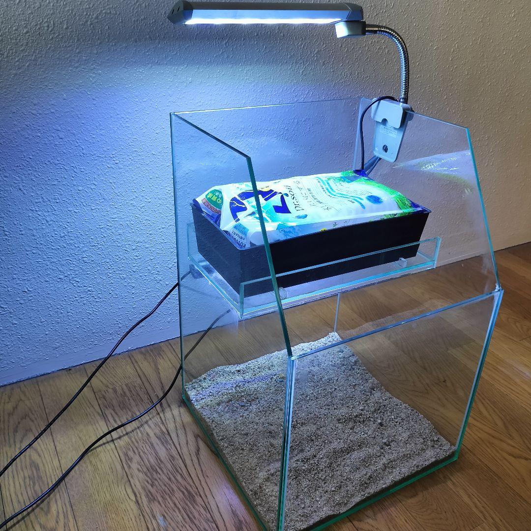 水草水槽　アクアテラリウム　水槽セット