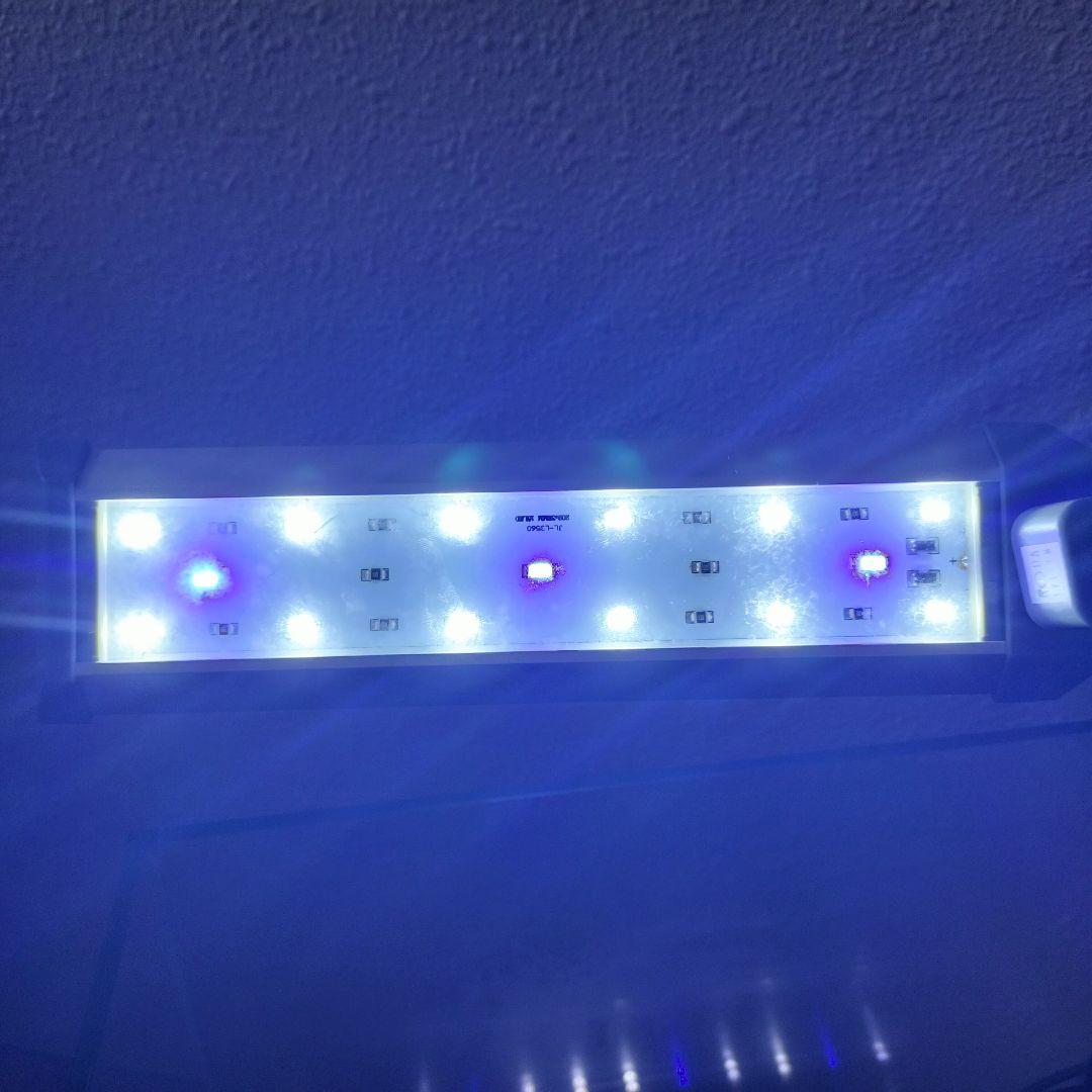 水草水槽　アクアテラリウム　水槽セット