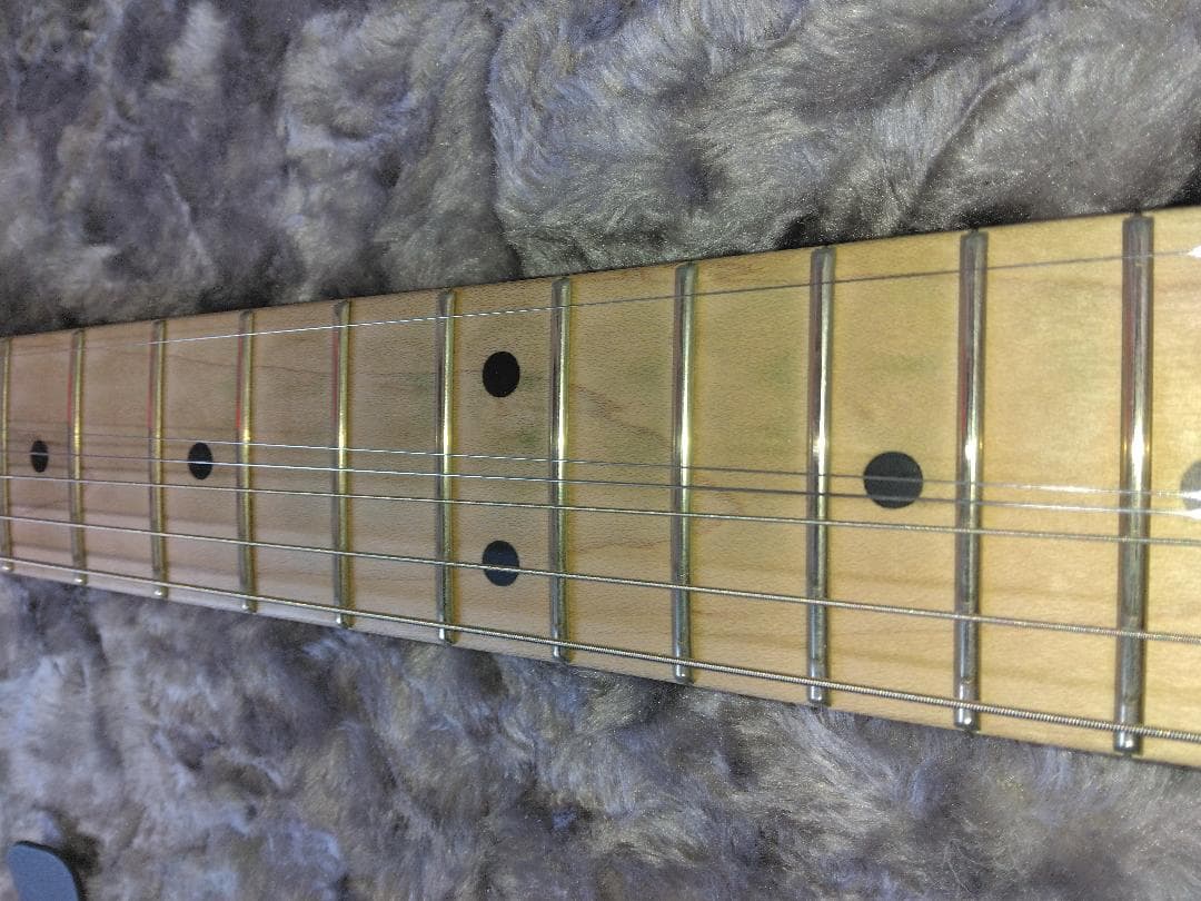 美品中古EVH Striped Series 白黒＋新品Fenderハードケース