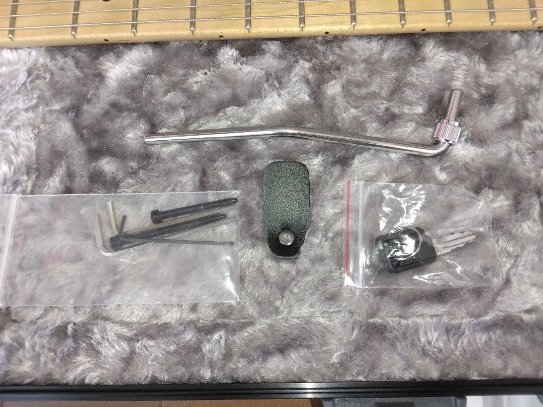 美品中古EVH Striped Series 白黒＋新品Fenderハードケース