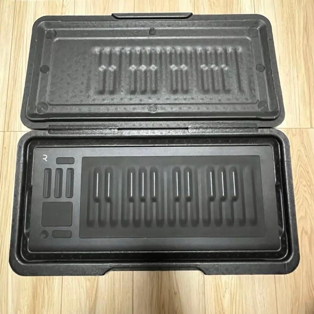 DTM・DAW ROLI Seaboard RISE 25