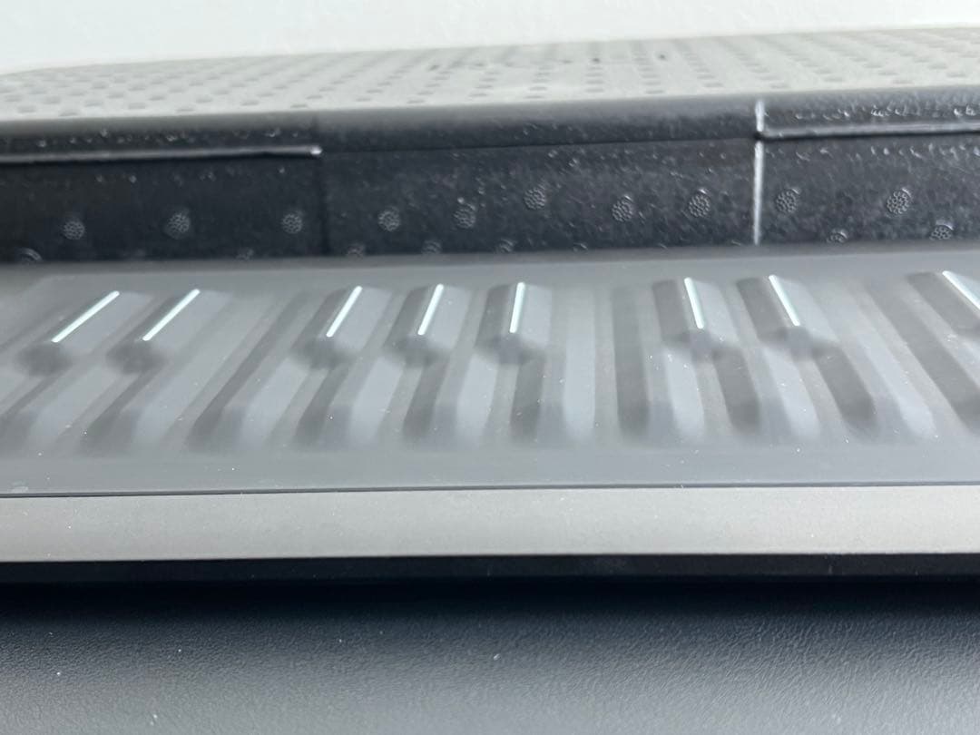DTM・DAW ROLI Seaboard RISE 25